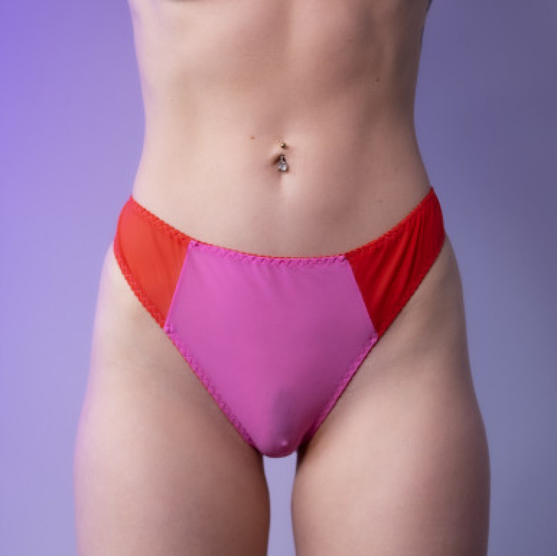 Pink and Red Mesh Panties